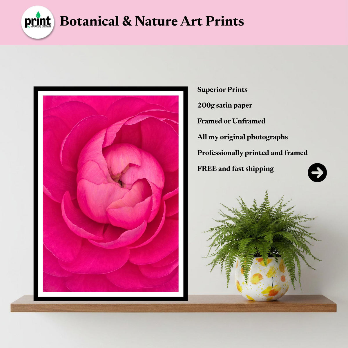 Pink Peony Print | Vibrant Floral Macro Wall Art