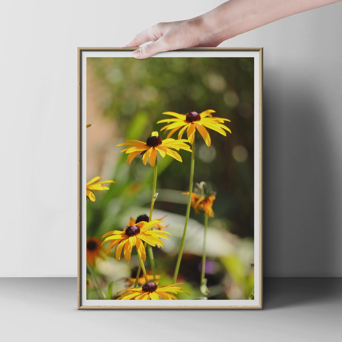 Black Eyed Susan Flower Poster, Yellow Rudbeckia Wall Art, Botanical Garden Print, Summer Floral Photography, Nature Lover Gift