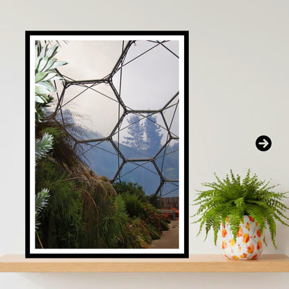 Eden Project Rainforest Biome Print Botanical Photography Nature Wall Art Inspired by Eden Collection