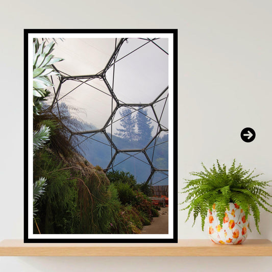 Eden Project Rainforest Biome Print Botanical Photography Nature Wall Art Inspired by Eden Collection