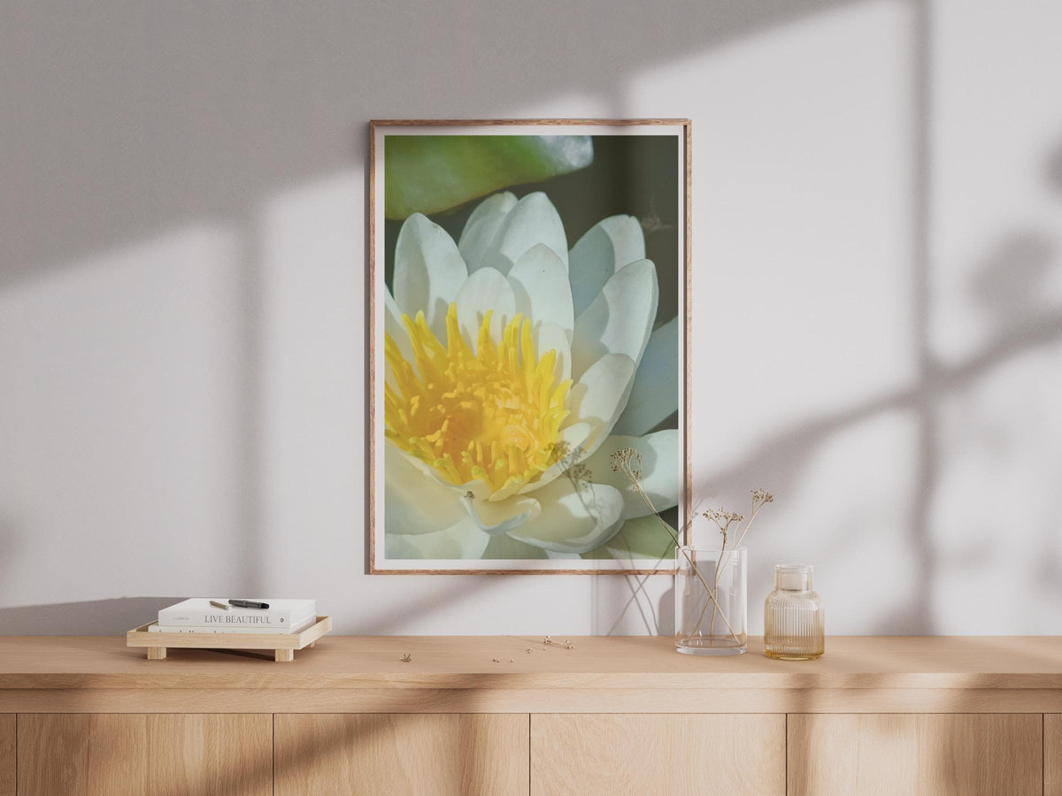 White Water Lily Poster, Yellow Stamen Floral Close Up Print, Botanical Wall Art, Pond Flower Photography, Nature Lover Gift, Calm Decor