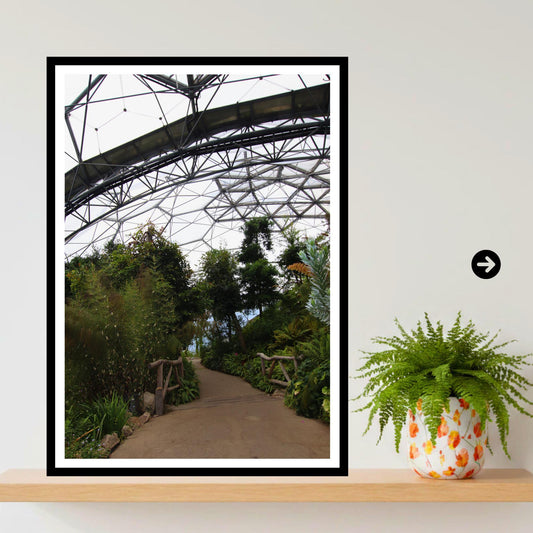 Eden Project Biome Print Botanical Garden Wall Art Nature Photography Inspired by Eden Collection