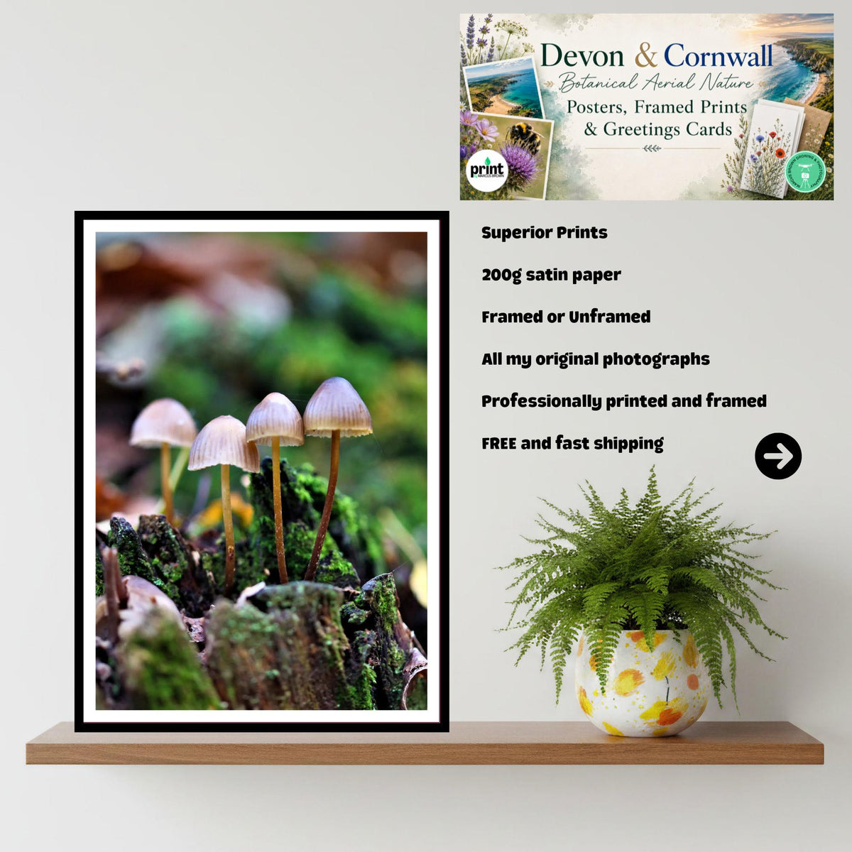 Common Bonnet Fungi Print Art, Mushroom Wall Decor, Nature Photography, Woodland Fungi Illustration, FSC Certified Archival Poster