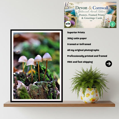 Common Bonnet Fungi Print Art, Mushroom Wall Decor, Nature Photography, Woodland Fungi Illustration, FSC Certified Archival Poster
