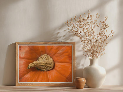 Pumpkin Stem Close Up Poster, Orange Autumn Wall Art, Framed-Print, Harvest Macro Photography, Kitchen Decor, Bold Orange Nature Print