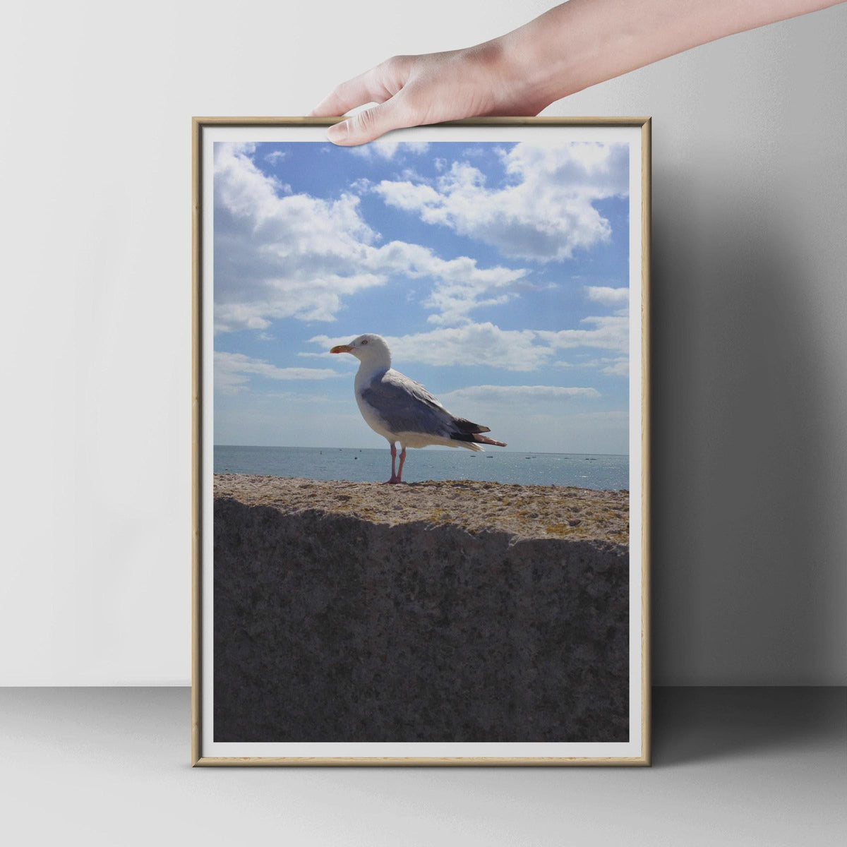 Seagull Coastal Photography Print, Seaside Bird Wall Art, Blue Sky Ocean Poster, Nautical Wildlife Photo Print for Beach House Decor