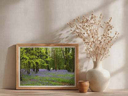 Bluebell Wood Poster - image 3
