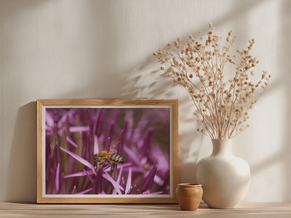 Bee on Allium Flower Poster, Macro Wildlife Photography Framed-Print, Purple Botanical Wall Art, Garden Nature Print, Pollinator Home Decor