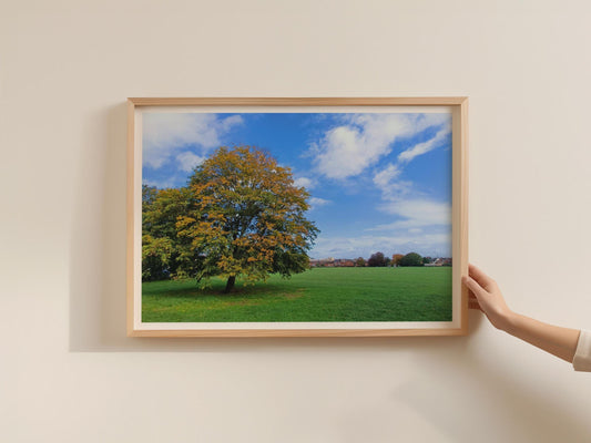 Autumn Tree Landscape Poster, English Park Framed-Print, Golden Leaves Wall Art, British Countryside Nature Print, Green Meadow Blue Sky