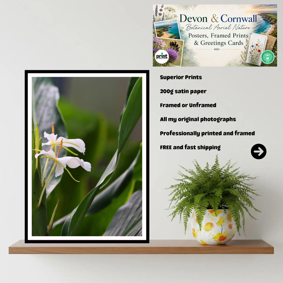 White Ginger Flower at Eden Project Cornwall — Botanical Wall Art Photography Print
