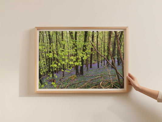 Bluebell Wood Poster, Spring Forest Landscape Framed-Print, British Woodland Wall Art, Purple Wildflower Trees Nature Photography Print