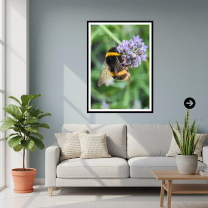 Bumblebee on Lavender Flower Print, Pollinator Art, Nature Photography, Garden Wildlife Decor, Calming Floral Wall Art, Archival Paper