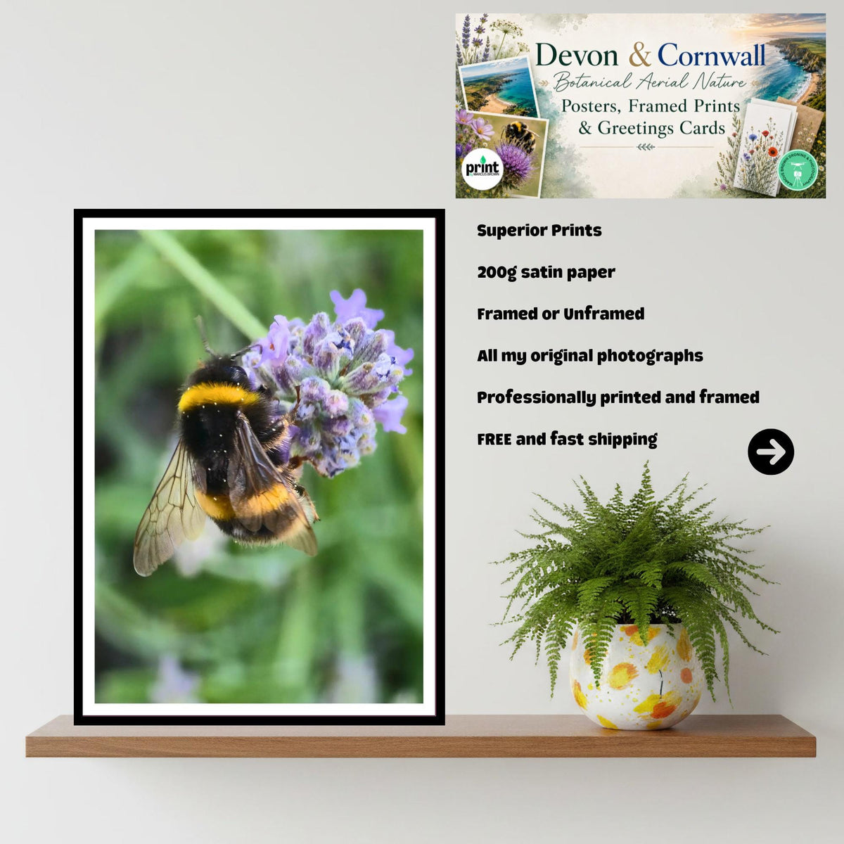 Bumblebee on Lavender Flower Print, Pollinator Art, Nature Photography, Garden Wildlife Decor, Calming Floral Wall Art, Archival Paper
