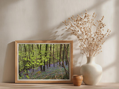 Bluebell Wood Poster - image 3