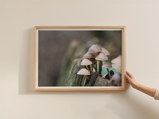 Wild Fungi Poster, Woodland Mushroom Photography Print, Framed-Print, Nature Wall Art, Earthy Tones, Forest Macro Photo, Autumn Decor