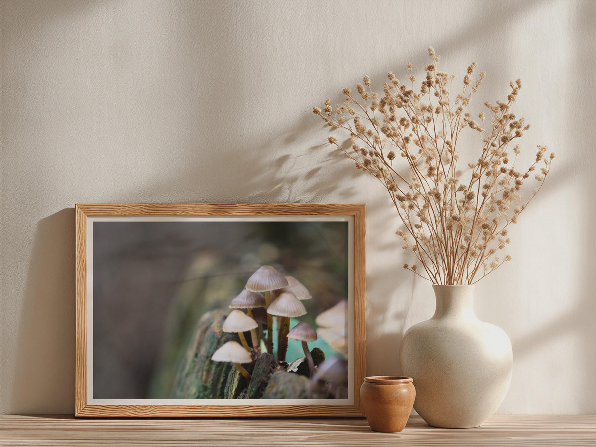 Wild Fungi Poster mockup - Neutral_Mockup_Studio_509