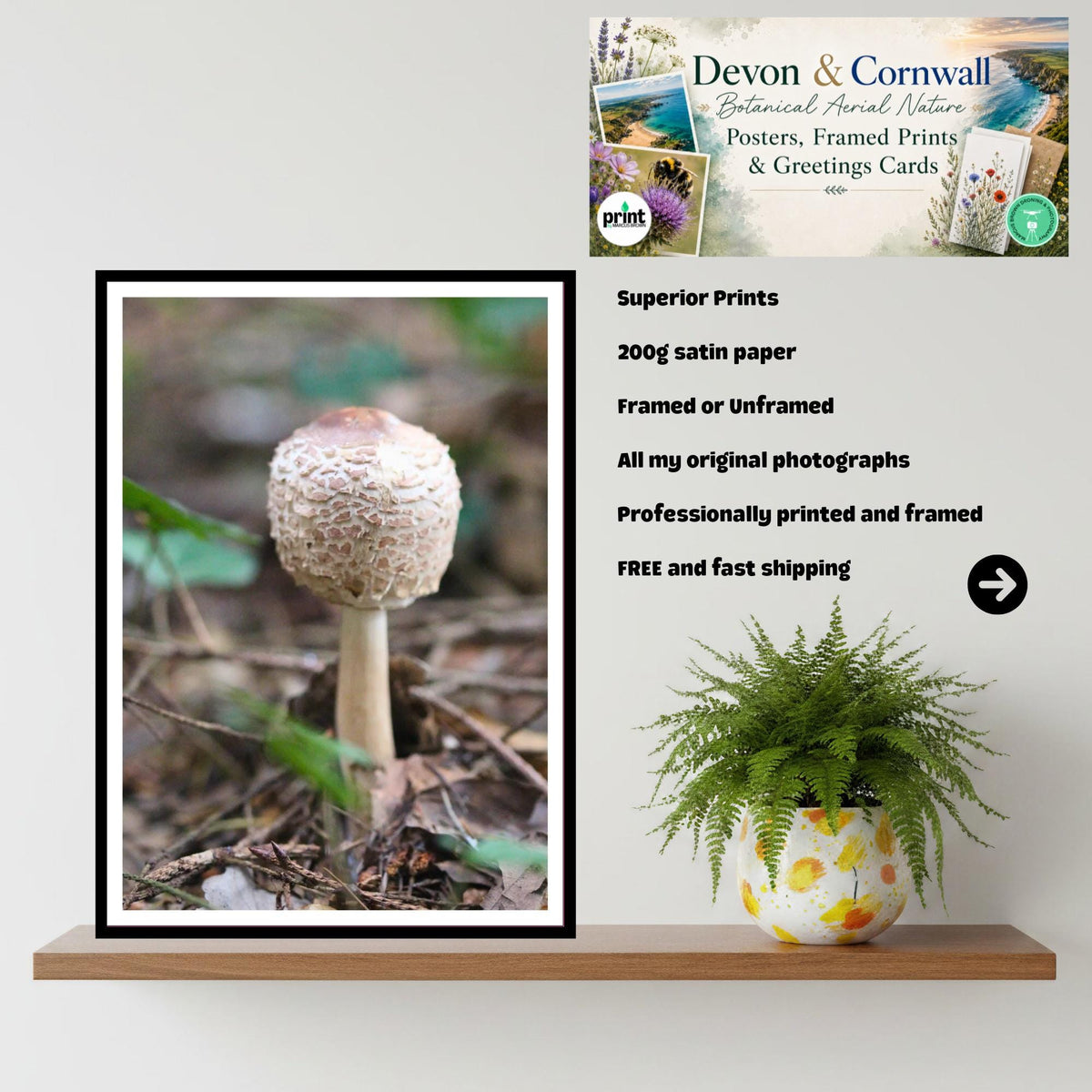 Parasol Mushroom Fungi Print Art, Woodland Nature Photography, Botanical Poster, Archival Paper, Unique Forest Decor, Mycology Art