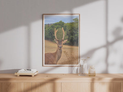 Red Deer Stag Portrait Poster, Wildlife Photography Print, Antler Wall Art, British Nature Photo, Countryside Animal Decor, Stag Print