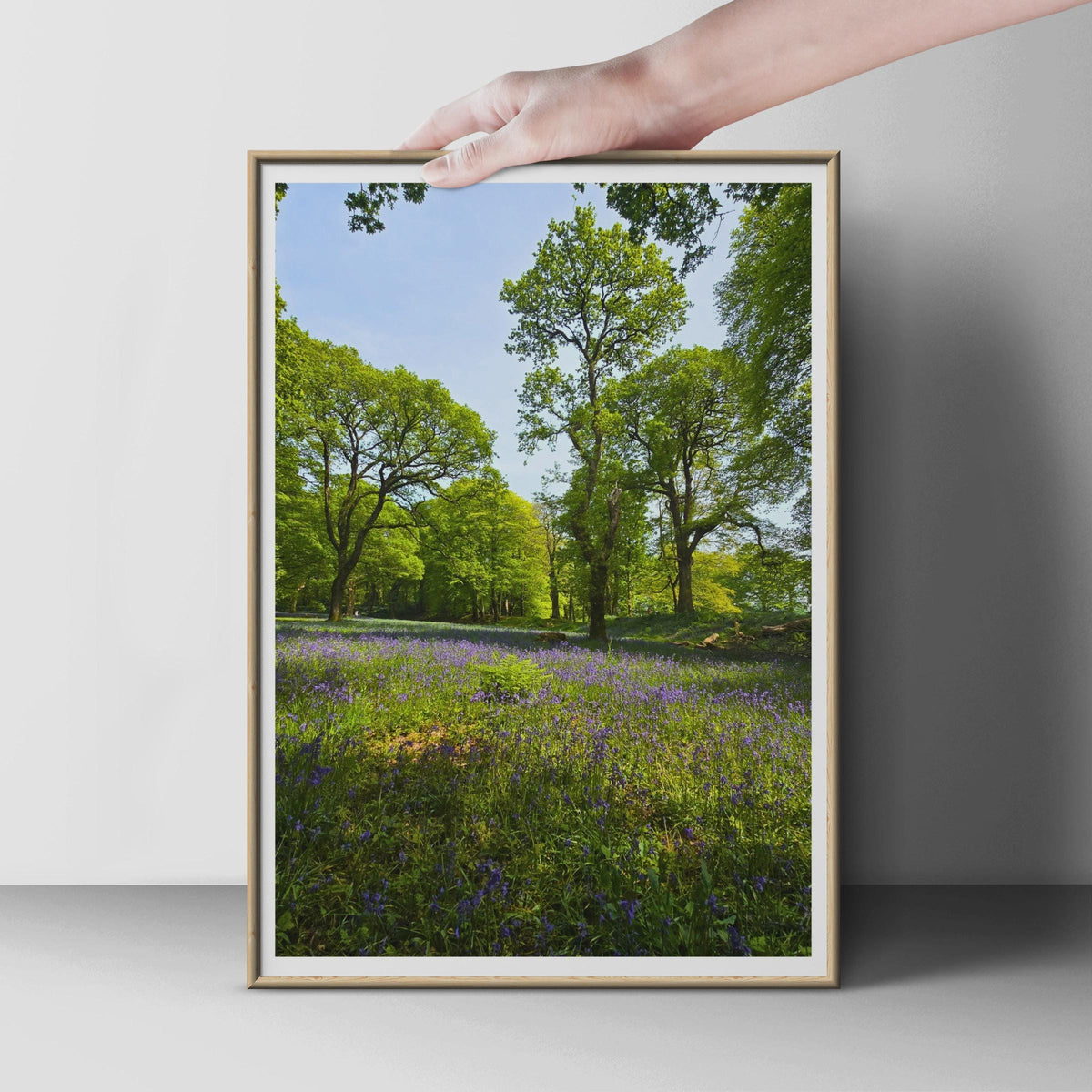 Bluebell Wood Photography Print, British Woodland Poster, Spring Forest Wall Art, Purple Wildflower Nature Print, Green Trees Home Decor