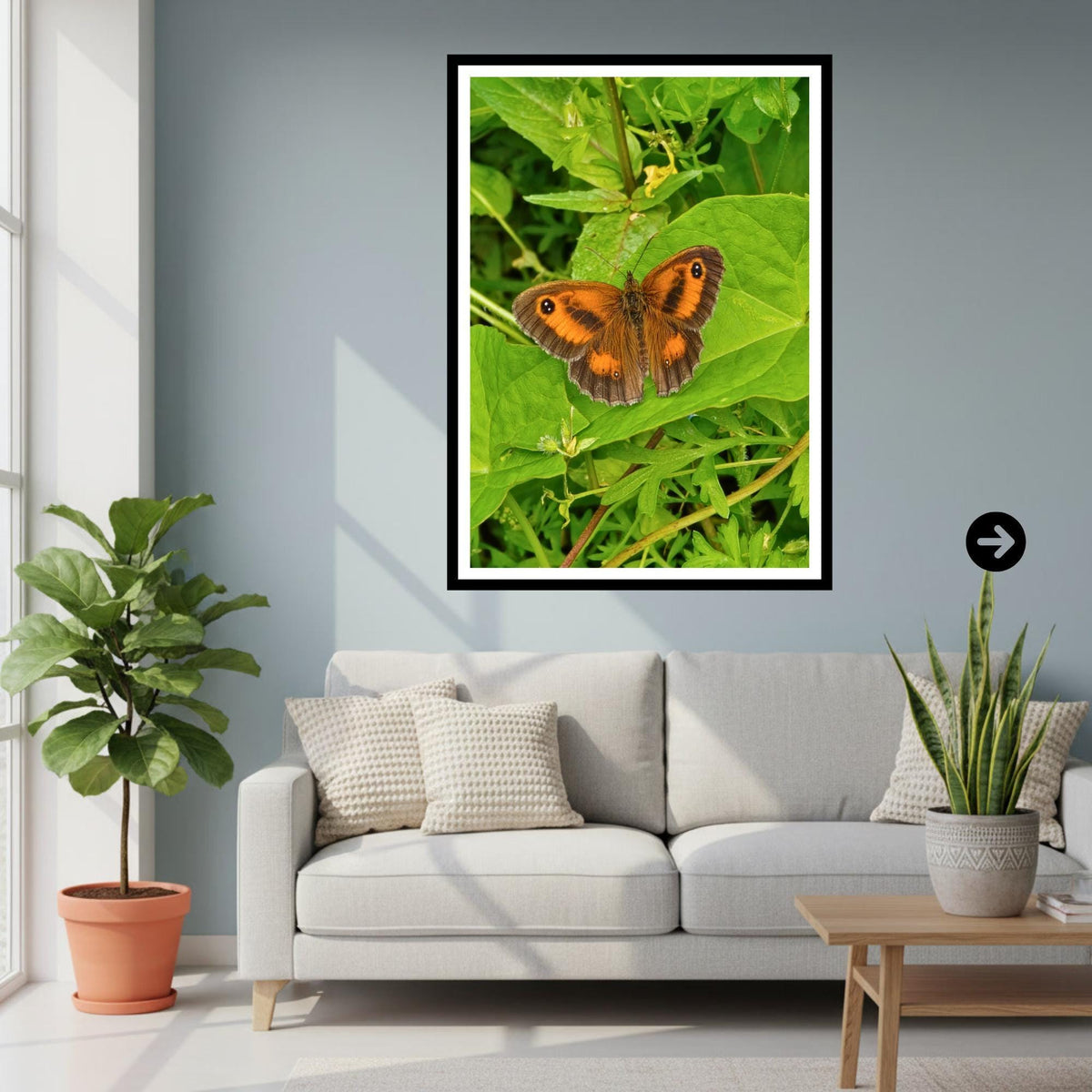 Gatekeeper Butterfly Print, Orange Wildlife Nature Photography, Botanical Garden Wall Art
