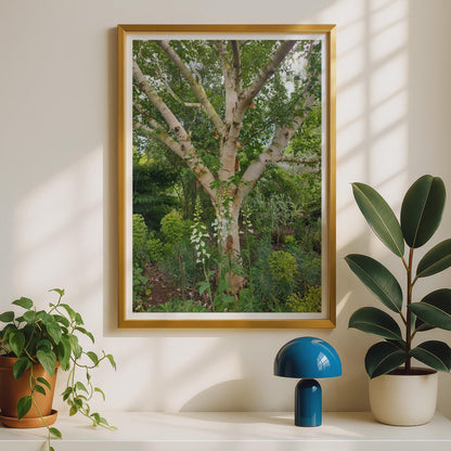 Silver Birch Tree Poster, White Foxglove Garden Print, Botanical Wall Art, Nature Photography, Green Garden Decor, Woodland Botanical Print