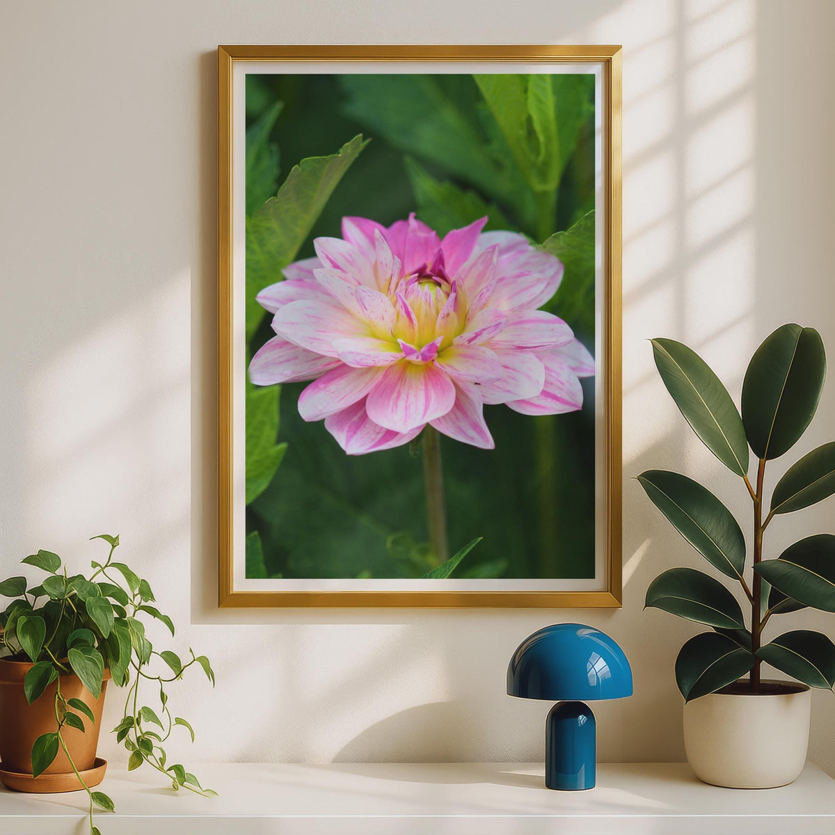 Pink Dahlia Flower Poster, Close Up Botanical Photography Print, Garden Wall Art, Floral Nature Photo, Pink and White Bloom Home Decor