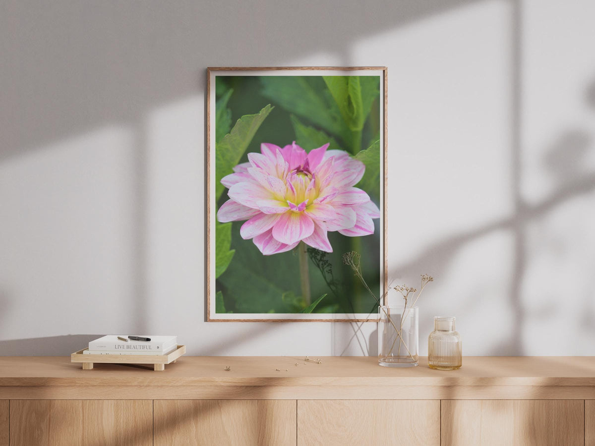 Pink Dahlia Flower Poster, Close Up Botanical Photography Print, Garden Wall Art, Floral Nature Photo, Pink and White Bloom Home Decor