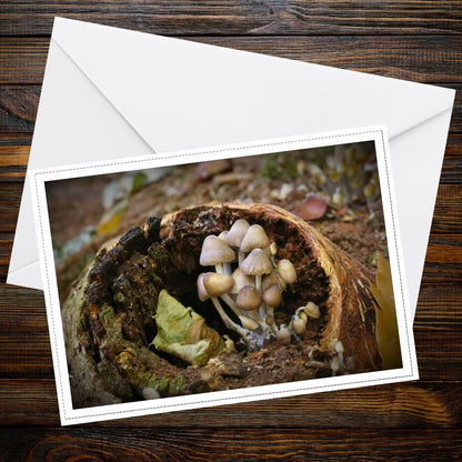 Glistening Inkcap Mushroom Art Card, Woodland Gift Idea, Botanical Print, Nature-Inspired Greeting, Eco Stationery, Fungi Collector