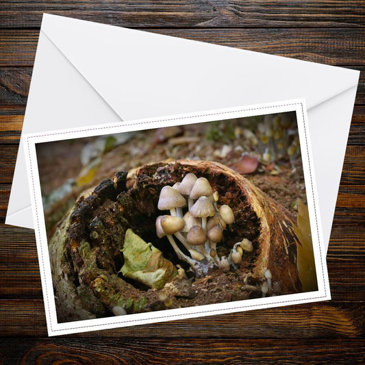 Glistening Inkcap Mushroom Art Card, Woodland Gift Idea, Botanical Print, Nature-Inspired Greeting, Eco Stationery, Fungi Collector