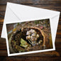 Glistening Inkcap Mushroom Art Card, Woodland Gift Idea, Botanical Print, Nature-Inspired Greeting, Eco Stationery, Fungi Collector
