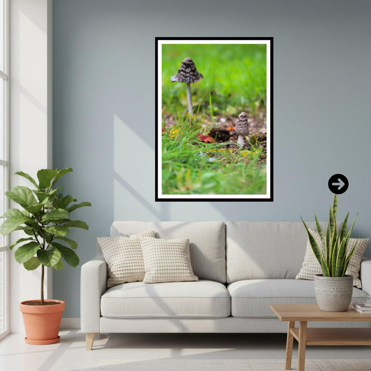 Shaggy Inkcap Mushroom Print | Fungi Art, Nature Photography, Woodland Decor, Archival Paper, FSC Certified, Botanical & Wildlife Print