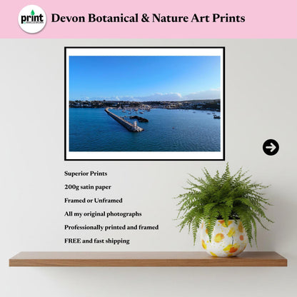 Brixham Breakwater Print, Devon Drone Photography, Coastal Wall Art