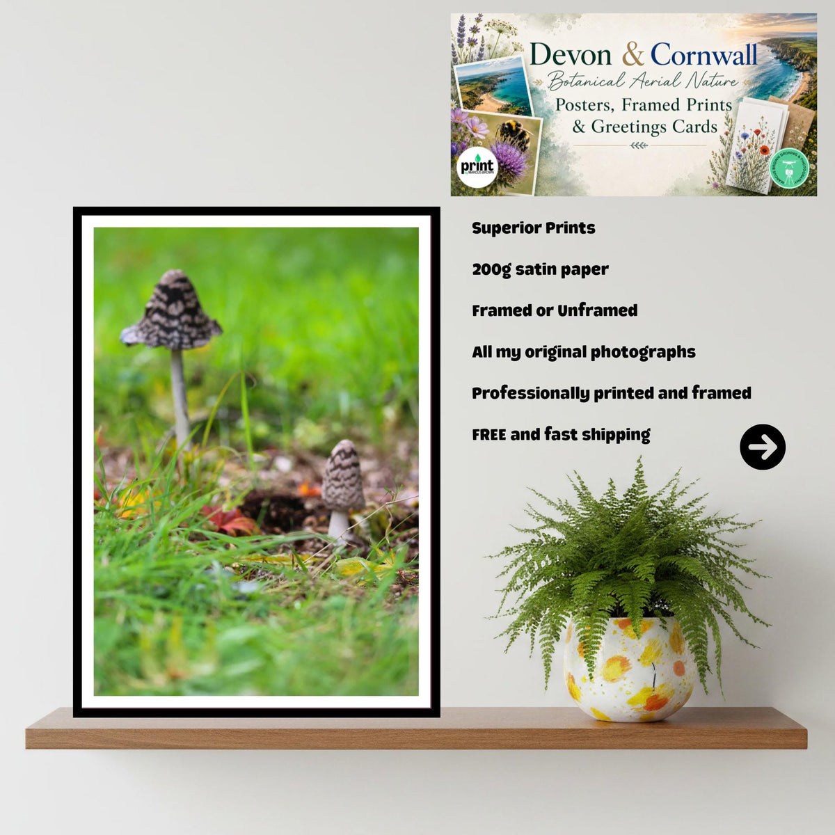 Shaggy Inkcap Mushroom Print | Fungi Art, Nature Photography, Woodland Decor, Archival Paper, FSC Certified, Botanical & Wildlife Print