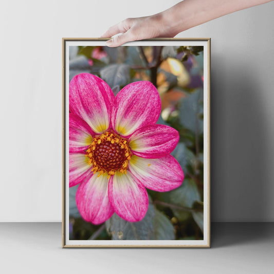 Pink Dahlia Flower Print, Close Up Botanical Photography Poster, Floral Wall Art, Hot Pink Garden Bloom, Nature Photo Print for Home