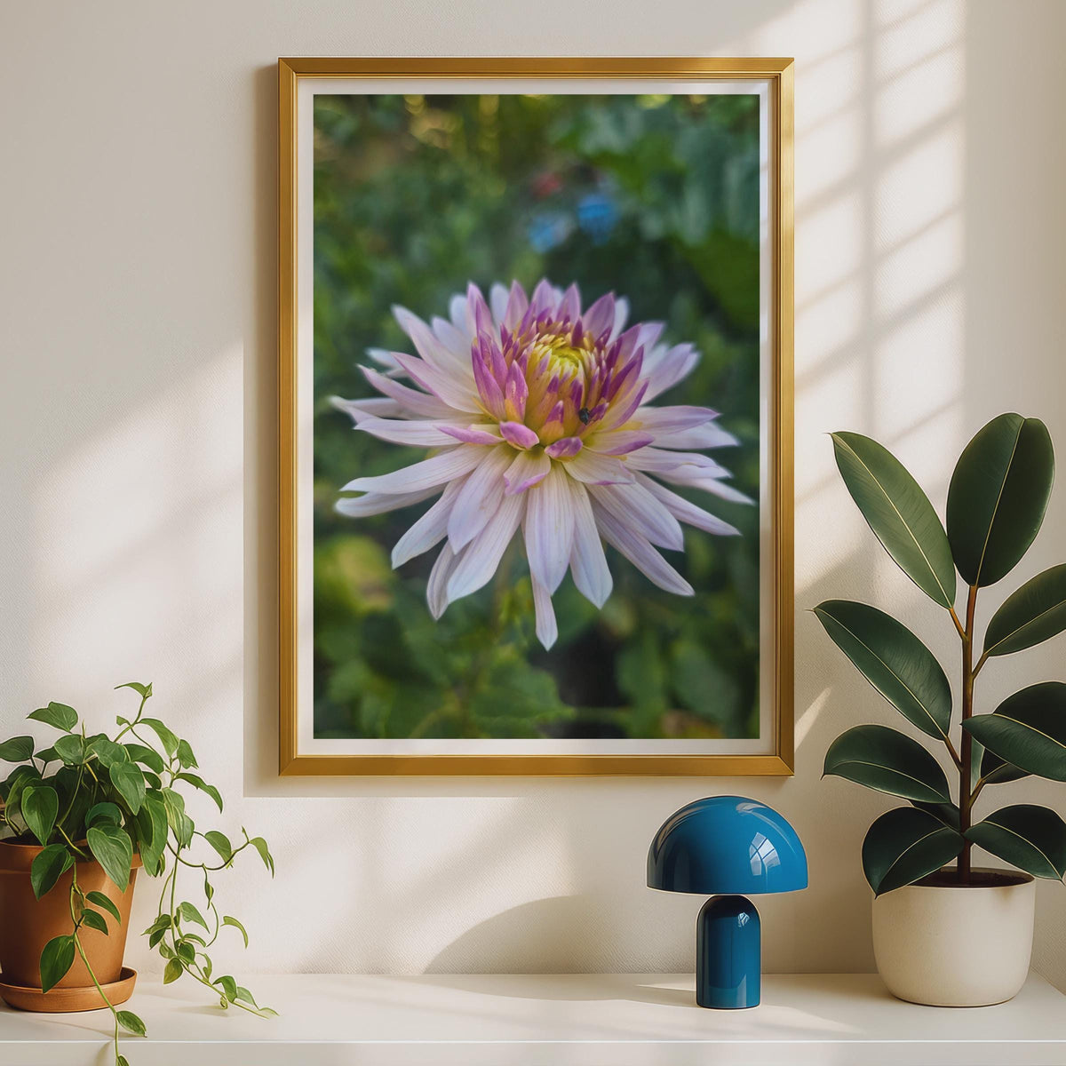 Pink Dahlia Flower Poster, Botanical Wall Art Print, Blush Purple Yellow Garden Floral Photography, Nature Lover Gift, Living Room Decor