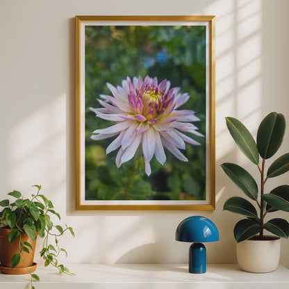 Pink Dahlia Flower Poster, Botanical Wall Art Print, Blush Purple Yellow Garden Floral Photography, Nature Lover Gift, Living Room Decor