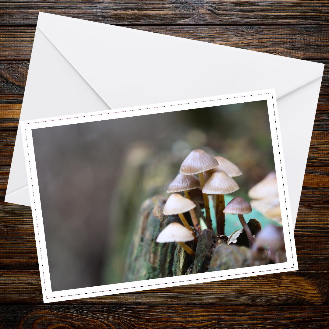 Clustered bonnet Fungi Greeting Card, Botanical Print, Nature-Inspired Gift, Woodland Mushroom Art, Eco Stationery, Handmade Paper Card