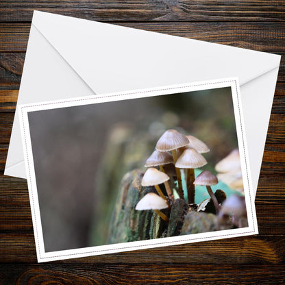 Clustered bonnet Fungi Greeting Card, Botanical Print, Nature-Inspired Gift, Woodland Mushroom Art, Eco Stationery, Handmade Paper Card