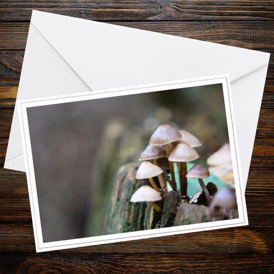 Clustered bonnet Fungi Greeting Card, Botanical Print, Nature-Inspired Gift, Woodland Mushroom Art, Eco Stationery, Handmade Paper Card