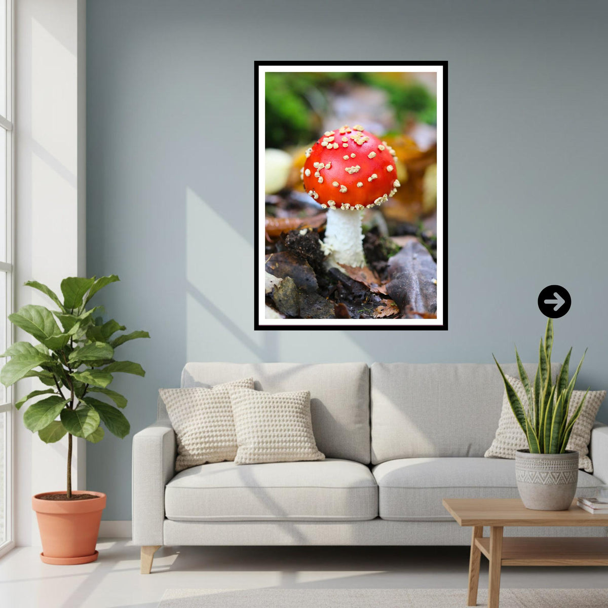 Fly Agaric Fungi Print Art, Mushroom Wall Decor, Nature Photography, Woodland Fungi Illustration, Botanical Poster, FSC Certified Print