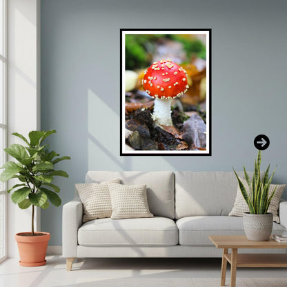 Fly Agaric Fungi Print Art, Mushroom Wall Decor, Nature Photography, Woodland Fungi Illustration, Botanical Poster, FSC Certified Print