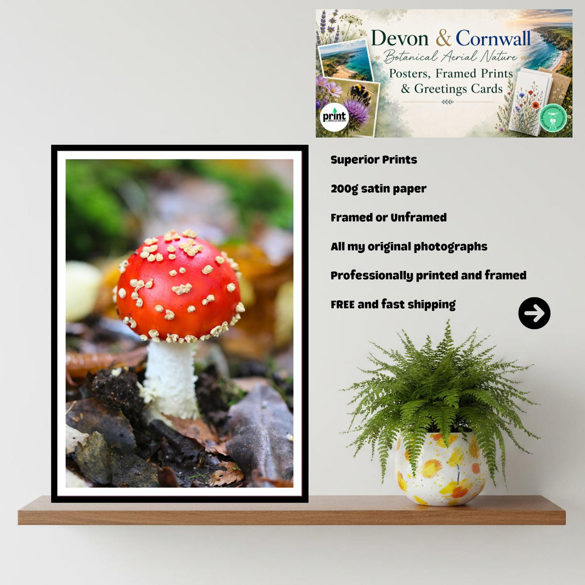 Fly Agaric Fungi Print Art, Mushroom Wall Decor, Nature Photography, Woodland Fungi Illustration, Botanical Poster, FSC Certified Print