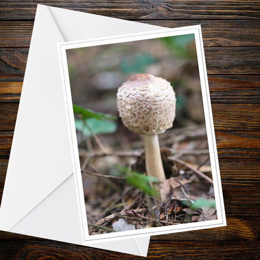 Parasol Mushroom Fungi Greeting Card | Woodland Nature Botanical Card | Handprinted Mycology Wildlife All Occasion Card