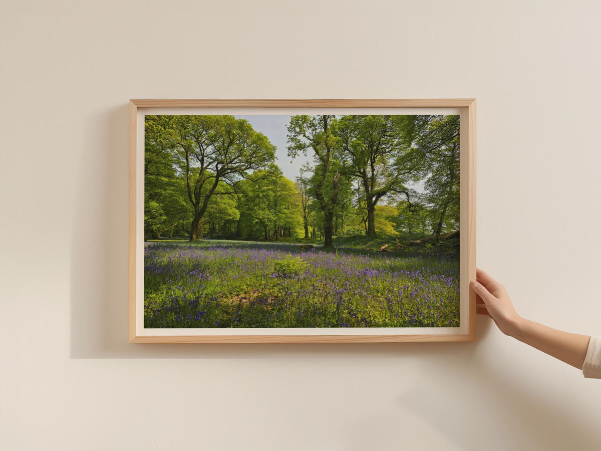 Bluebell Wood Landscape Poster, British Woodland Framed-Print, Spring Forest Trees Wall Art, Purple Wildflower Nature Print