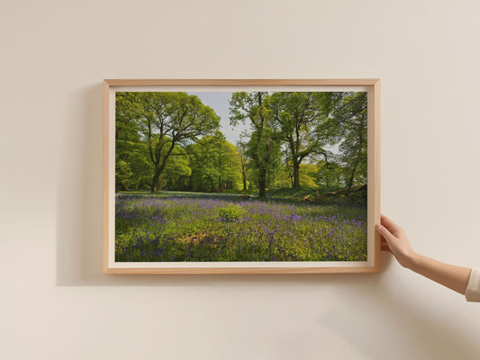 Bluebell Wood Landscape Poster, British Woodland Framed-Print, Spring Forest Trees Wall Art, Purple Wildflower Nature Print