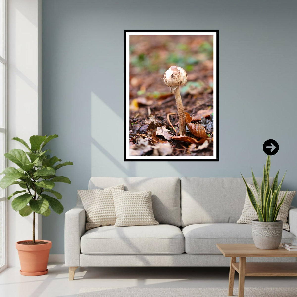 Parasol Mushroom Fungi Print Art, Nature Photography, Woodland Decor, Botanical Wall Art, Archival Poster, Mycology Gift, Forest Fungi