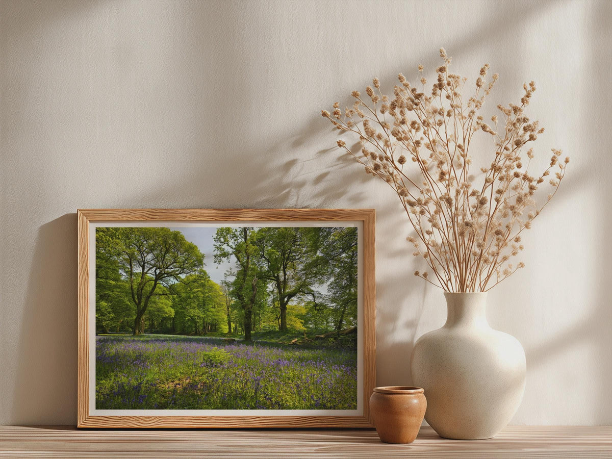 Bluebell Wood Landscape Poster - image 3