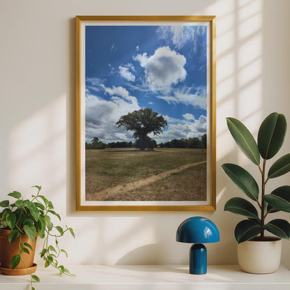 Lone Tree Summer Landscape Photography Print, Blue Sky Cloud Poster, English Countryside Wall Art, Nature Photo Print for Living Room