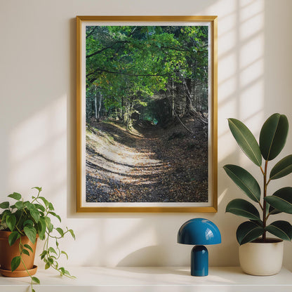 Forest Path Poster - image 2