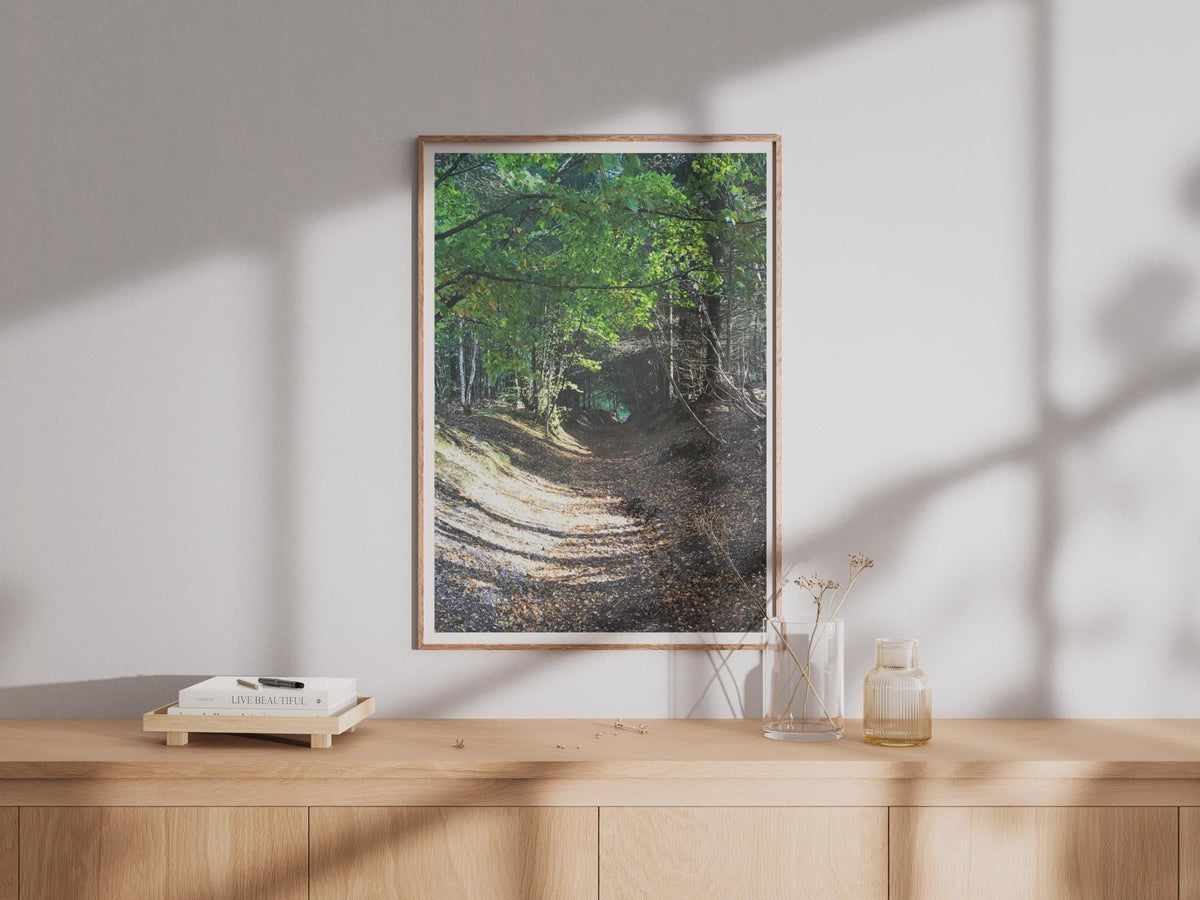 Forest Path Poster - image 4